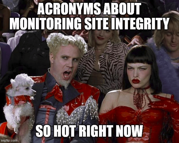 meme about testing security systems
