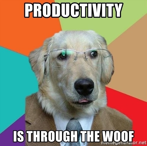 productivity meme
